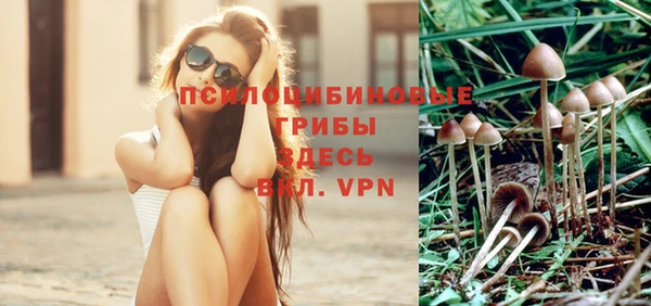 ALPHA-PVP Алексеевка